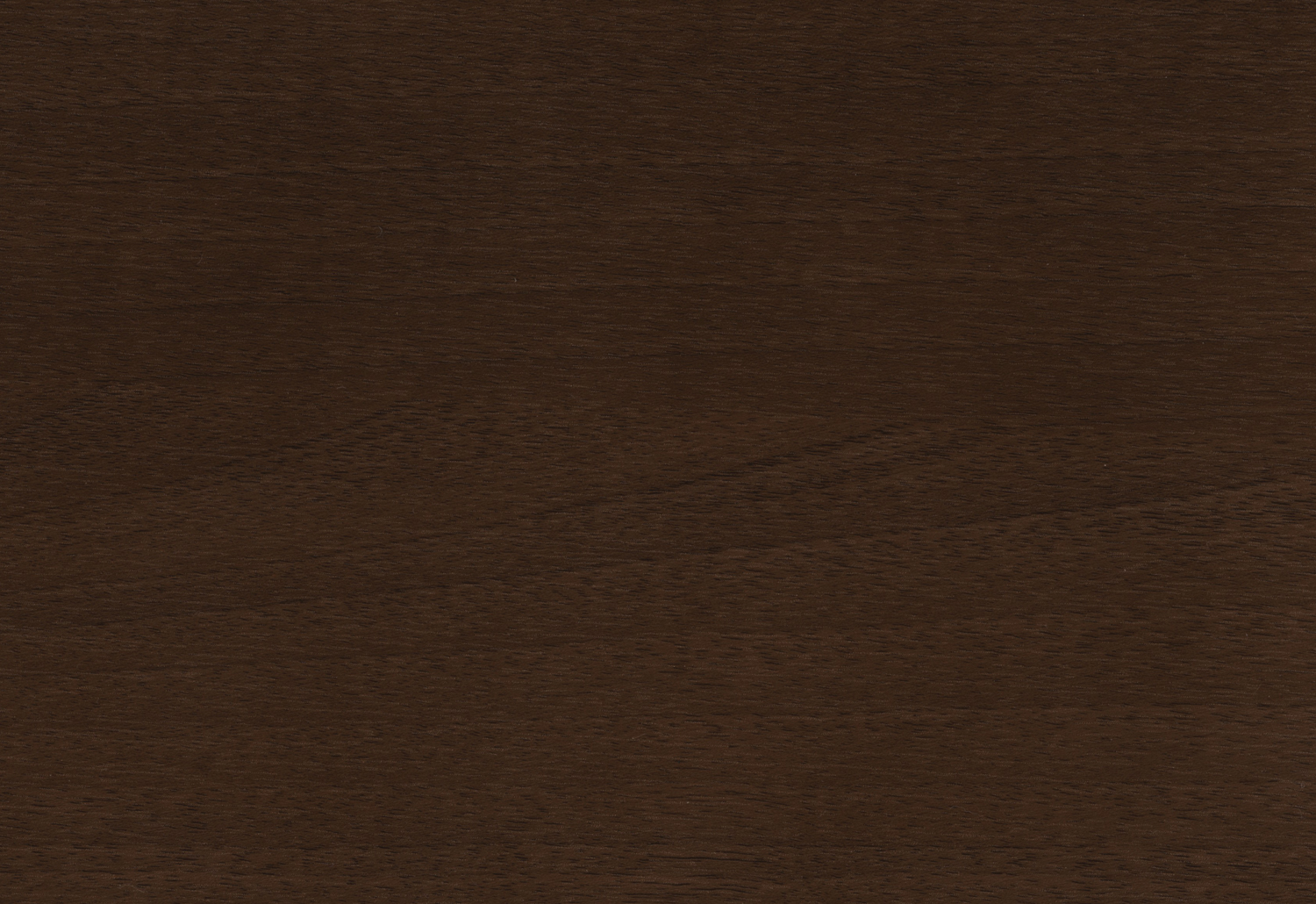 Walnut Terra